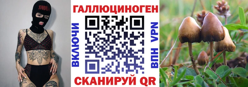 Галлюциногенные грибы GOLDEN TEACHER  мега ONION  Бирюч  где купить  